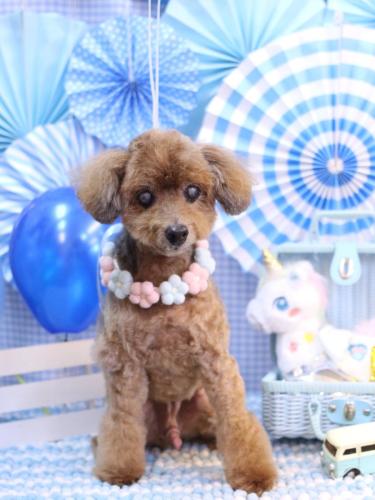 20231119颯太くん